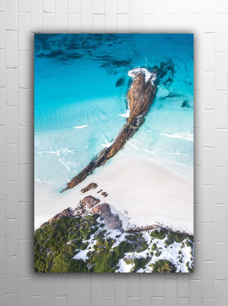 
                  
                    CC092 - Lucky Bay - Sixty Summers
                  
                